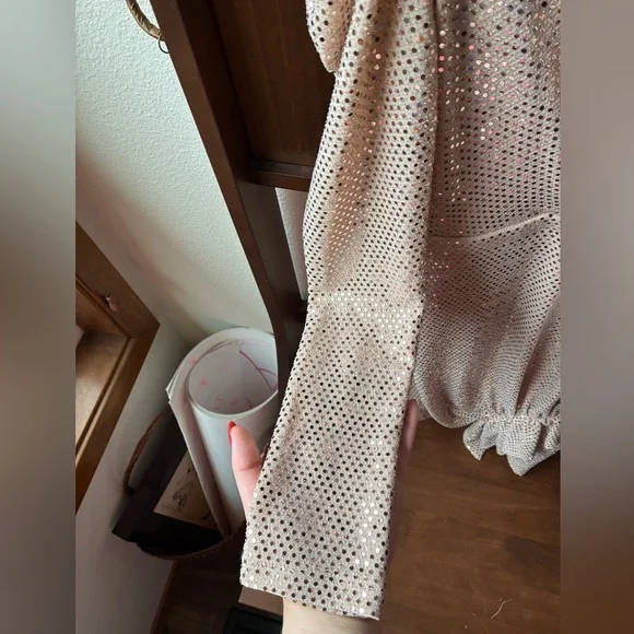 NWT IRO LouLou Sequin Dress in Blush Pink (Size:38/6) - Picture 10 of 15